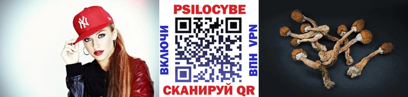 Галлюциногенные грибы MAGIC MUSHROOMS  как найти закладки  Железногорск 